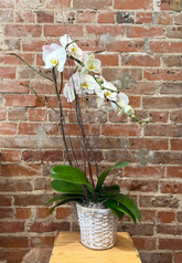 Mary Martha's Floral Design and Event Planning